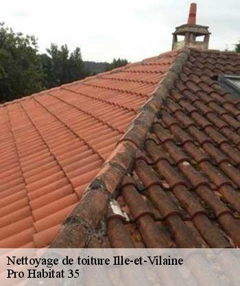 Entreprise Nettoyage De Toiture 35 Ille Et Vilaine Tel 02 52 56 34 60